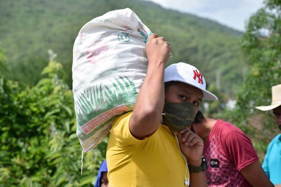 Campesinos piden modificar política agropecuaria tras aumento en pobreza extrema