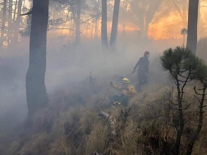 En el Nevado de Toluca contin&uacute;a el incendio en predio de Tlacotepec