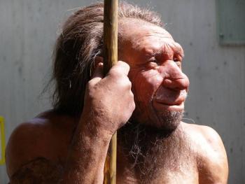 Genes neandertales ayudan a superar casos graves de Covid, seg&uacute;n estudio