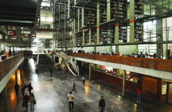 Bibliotecas en CDMX reabrir&aacute;n la pr&oacute;xima semana