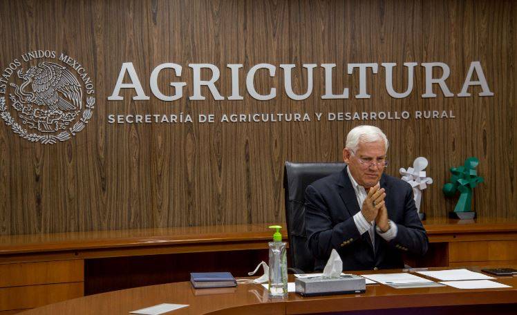 Impulsa Agricultura fortalecimiento de acciones de sanidad e inocuidad en el sector pecuario nacional