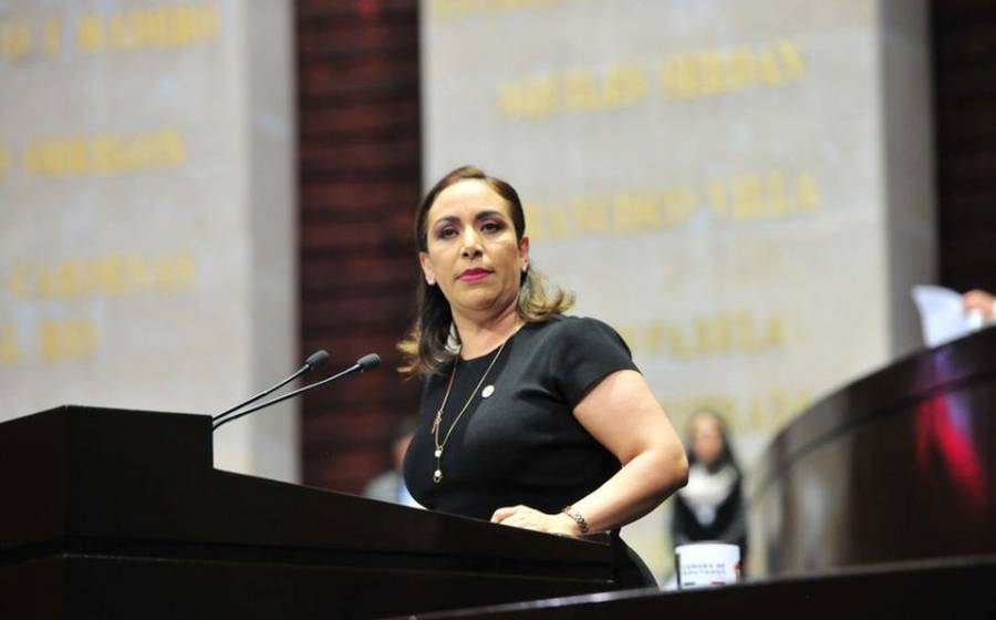 Hay trato diferenciado en casos Cabeza de Vaca y Félix Salgado: PAN