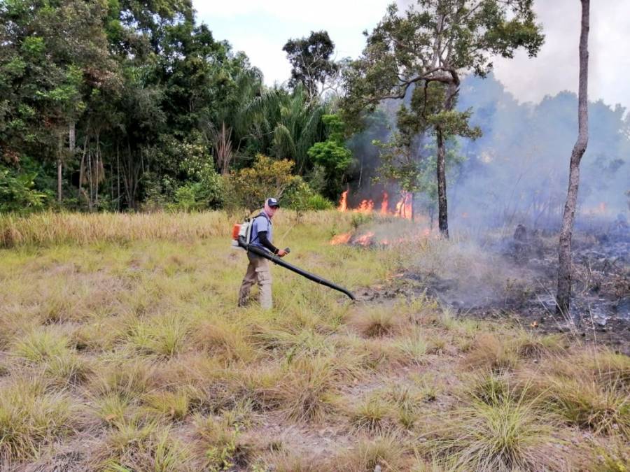 En Colombia, incendios forestales han consumido 10 mil 670 hect&aacute;reas