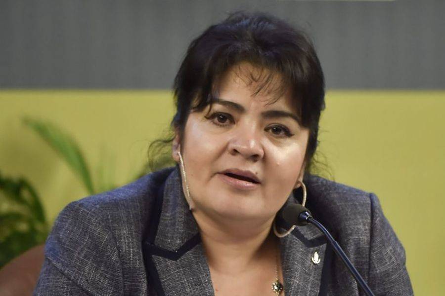 Nestora Salgado levanta la mano tras revés a Salgado Macedonio por Guerrero