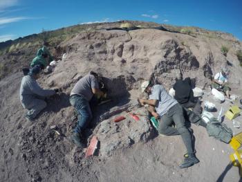 En Argentina se encuentra el titanosaurio m&aacute;s antiguo del mundo