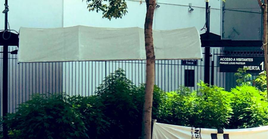 Senado pide Sheinbaum retirar plantón del parque Luis Pasteur