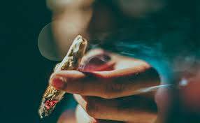 Plantean discutir hoy uso lúdico de mariguana