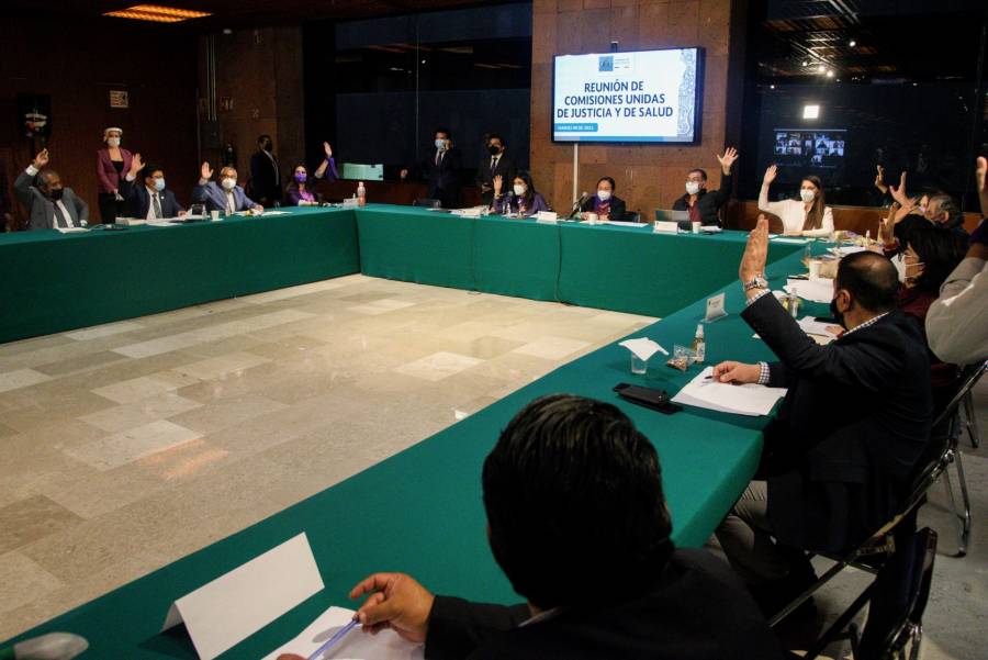 AVANZA EN COMISIONES MARIHUANA L&Uacute;DICA, VA AL PLENO DE SAN L&Aacute;ZARO