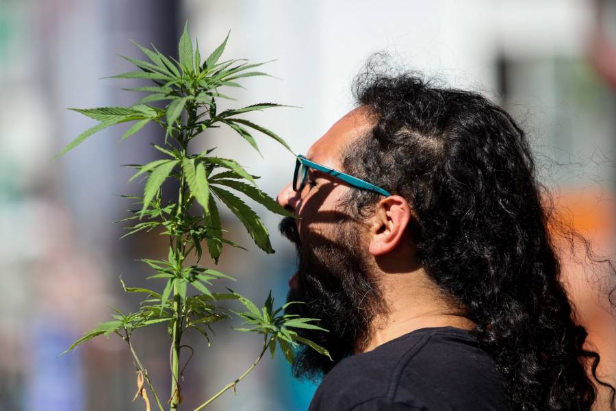 Cámara de Diputados avala en lo general uso lúdico de la marihuana