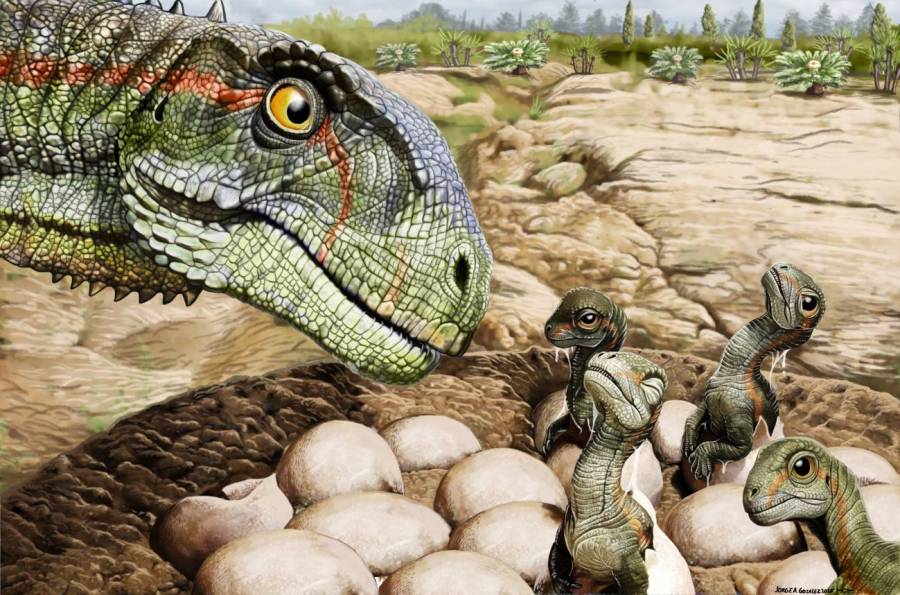 Descubren primer fósil de un dinosaurio incubando sus huevos