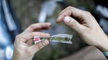 CRITICA IGLESIA DESPENALIZACI&Oacute;N DE MARIGUANA L&Uacute;DICA