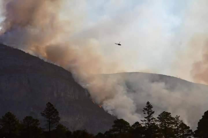 Fiscalía estatal investiga incendio forestal en Sierra de Arteaga, considerado desastre ecológico