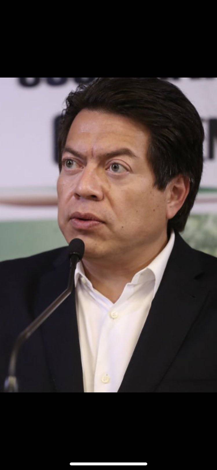 Impugnar&aacute; Morena lineamientos del INE reci&eacute;n aprobados por el INE: Mario Delgado
