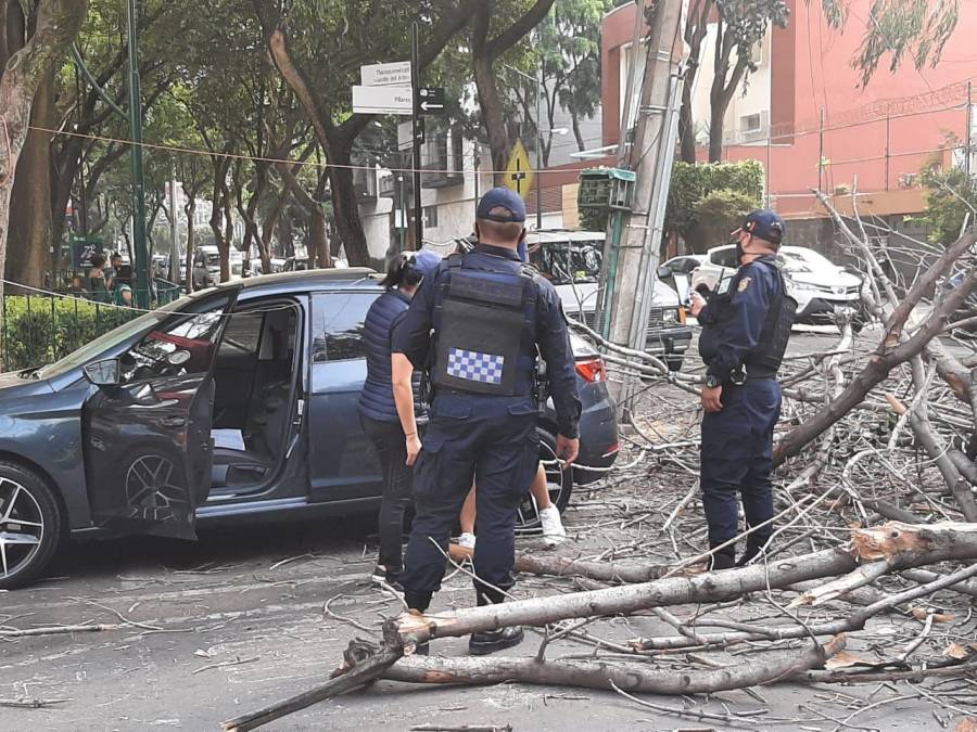 Se registran fuertes vientos en 7 alcaldías de la CDMX. Activan alerta amarilla