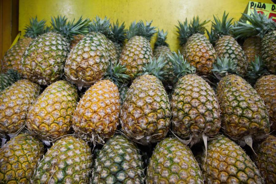 Agricultura destaca crecimiento en producción de piña durante 2020