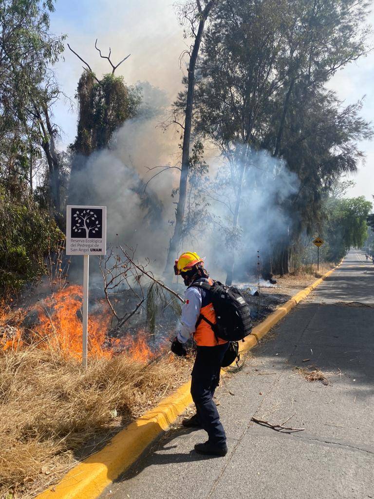 Encapuchados causan destrozos en Ciudad Universitaria