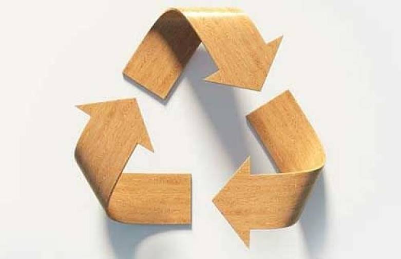 Científicos crean plástico biodegradable a través de los residuos de madera