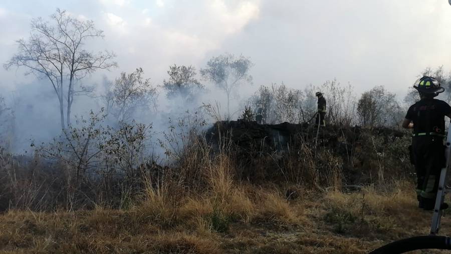 Se registra incendio forestal en Fuentes del Pedregal; reportan control al 98%