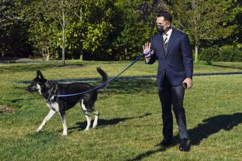 Nuevamente, perro de Joe Biden muerde a otro trabajador de la Casa Blanca