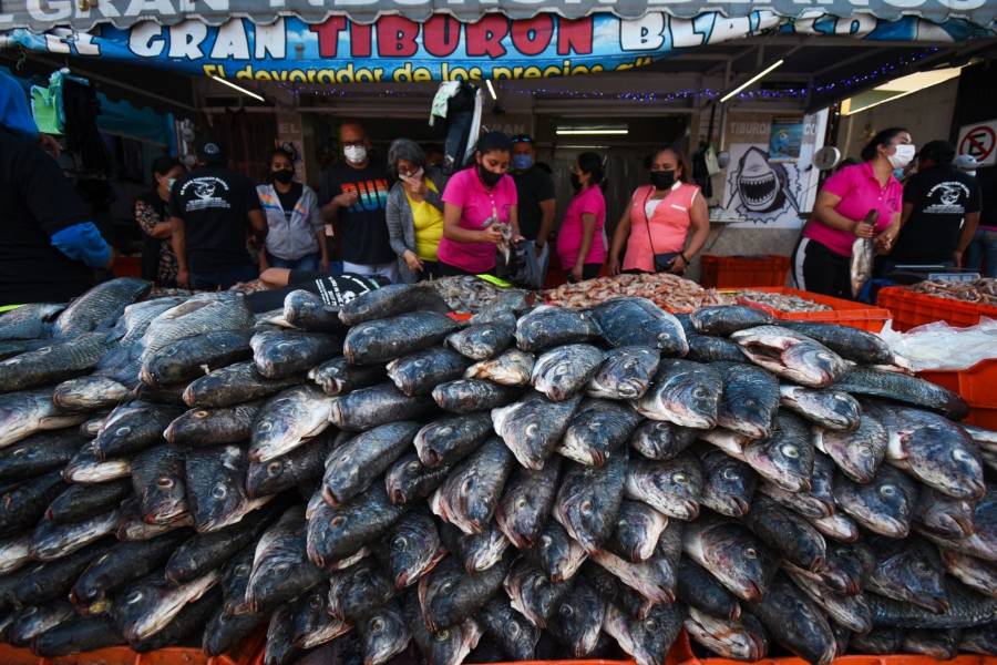 Sader: En cuaresma, habrá suficiente pescado y marisco