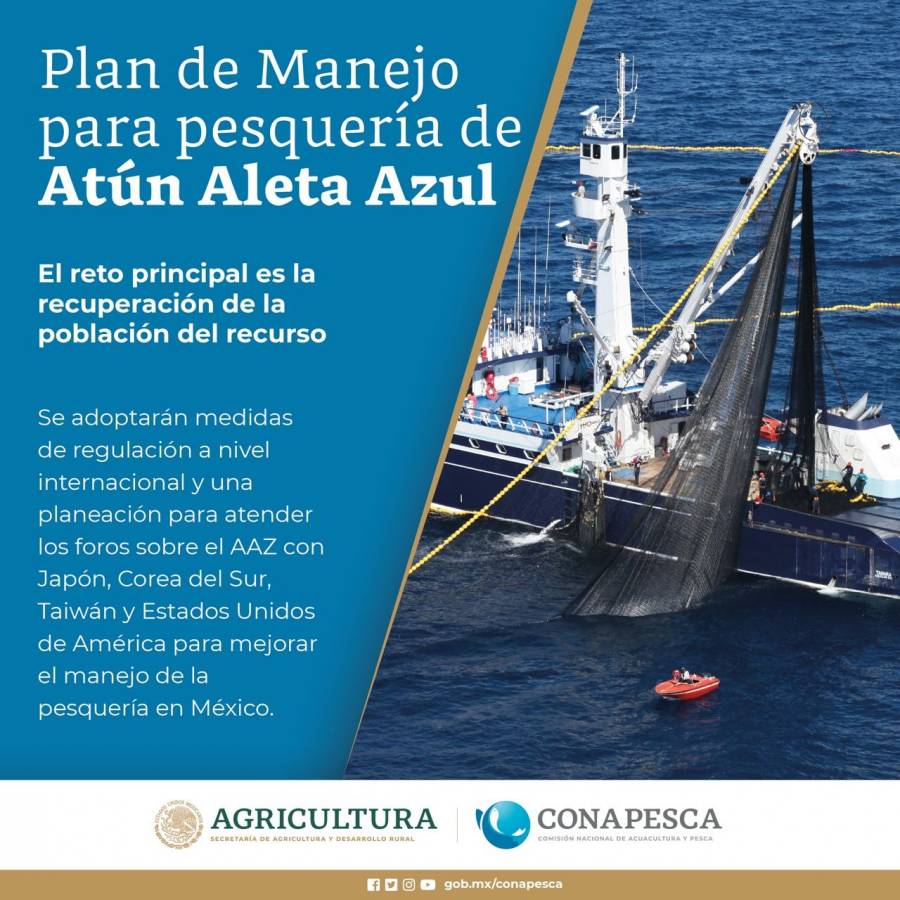 Presenta Agricultura Plan de Manejo Pesquero para captura de atún aleta azul en el Pacífico Oriental