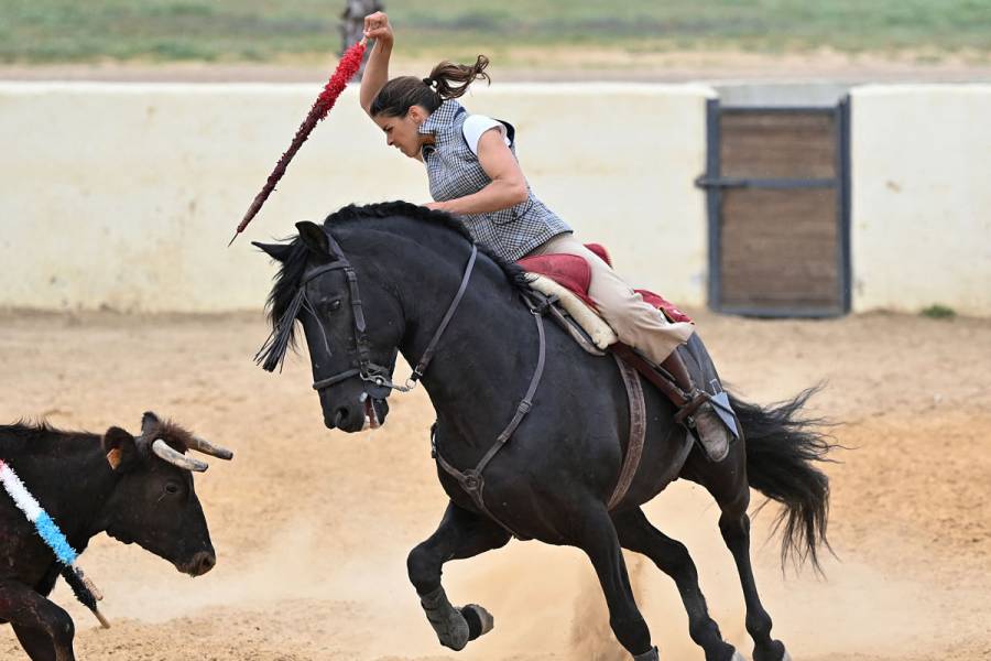 Por segundo año, suspenden la feria taurina en Sevilla