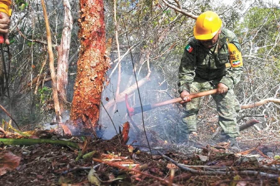 Piden desplegar Plan DN-III para mitigar incendios forestales