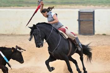 Por segundo a&ntilde;o, suspenden la feria taurina en Sevilla
