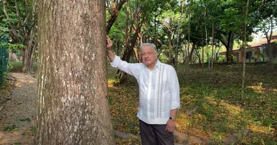 AMLO propondrá a Biden ampliar programa Sembrando Vida a países de Centroamérica