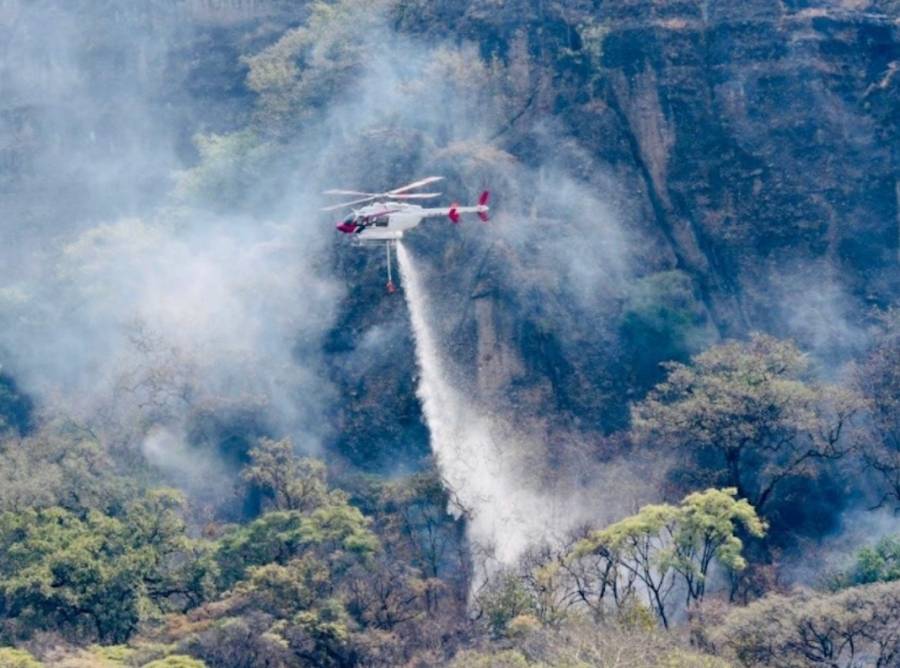 Sofocan en su totalidad incendio en el cerro del Tepozteco