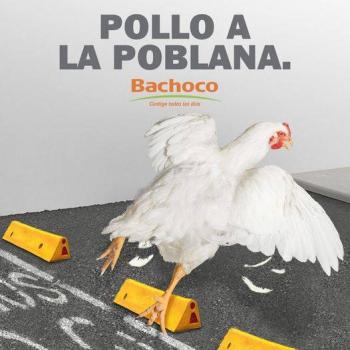 Bachoco: pollos al estilo poblano, tambi&eacute;n caer&aacute;n… pero en tus platillos