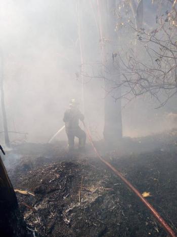 Controlado al 95 por ciento fuerte incendio en el Bosque de Chapultepec