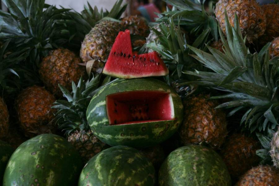Agricultura y Desarrollo Rural: en 2020 creci&oacute; producci&oacute;n y exportaci&oacute;n de sand&iacute;a mexicana