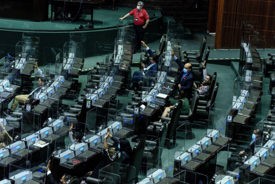 GOAN: preocupa que las mayorías en el Congreso violen la Constitución