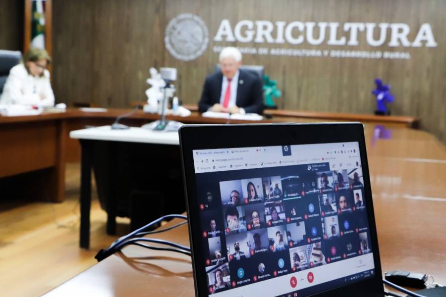 Agricultura: garantizada la producción y suministro de productos agropecuarios y pesqueros