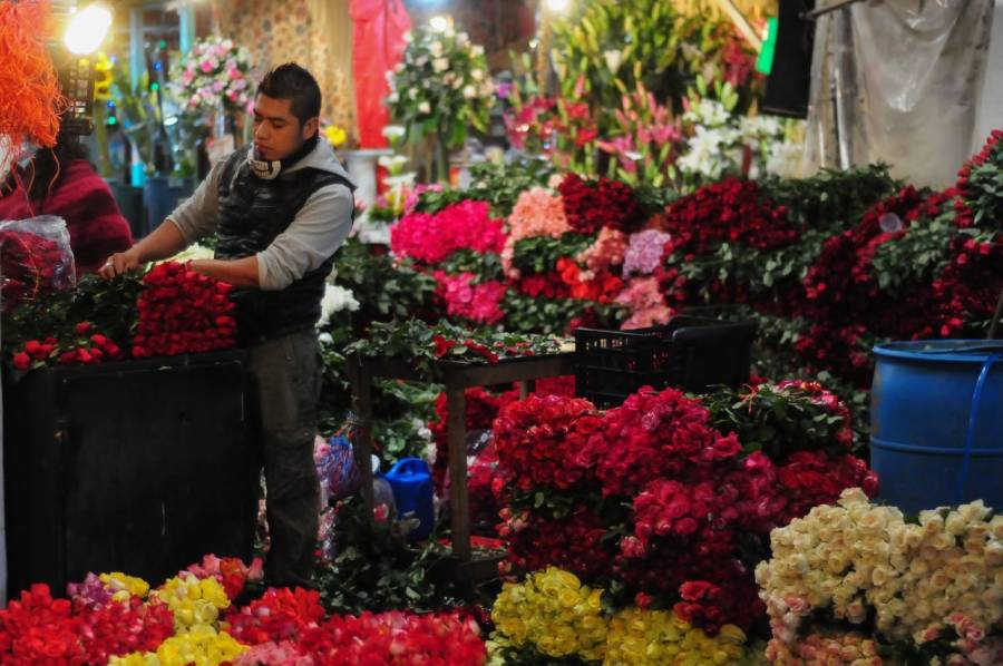 Prevén floricultores del Edomex, ventas de hasta por mil 300 mdp en el Día de las Madres