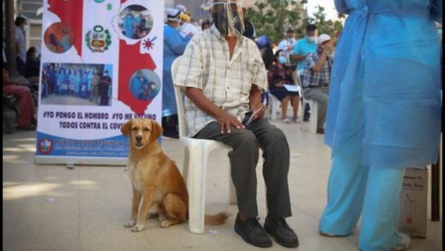 Con su lomito a un lado, adulto mayor acude vacunarse contra Covid-19