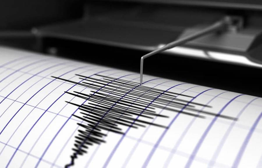 Sismo de magnitud 4.8 sacude a Guerrero