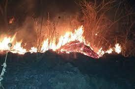 Se registra fuerte incendio en Michoacán y más en el país