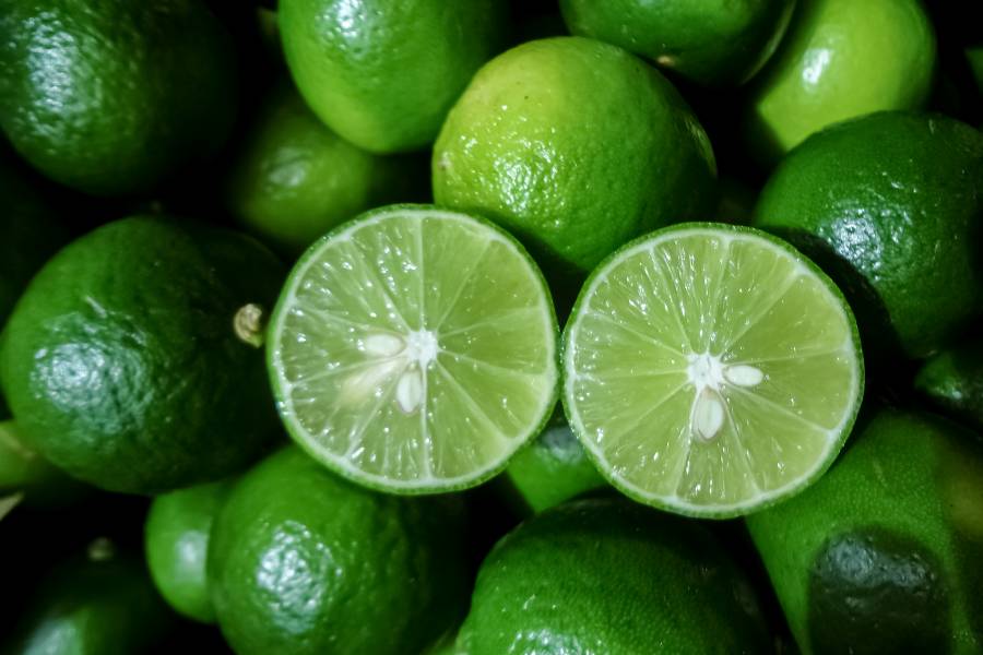 Avanzan negociaciones para exportar de carne de cerdo, lim&oacute;n, guayaba y mel&oacute;n mexicano a Australia