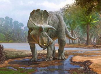 Descubren f&oacute;siles de dinosaurio que data de hace unos 82 millones de a&ntilde;os