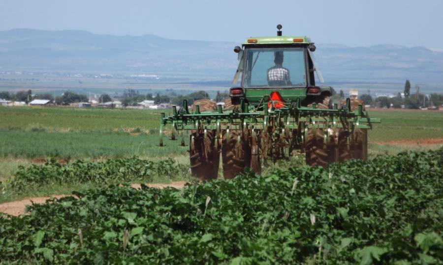 México pide a EEUU garantizar derechos de trabajadores migrantes del sector agrícola