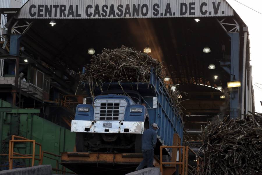 Ampliar&aacute; EEUU exportaci&oacute;n de az&uacute;car mexicana