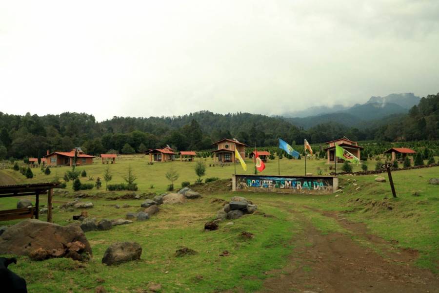 Amecameca, sede del Bosque Esmeralda, primer santuario de luciérnagas en el Edomex