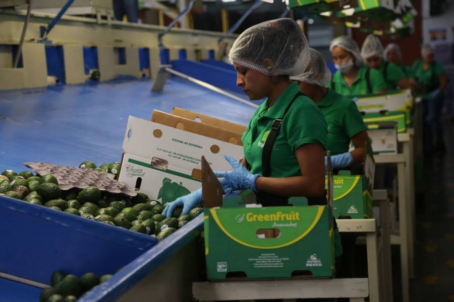 Exportaciones agropecuarias y pesqueras crecen 10.5% anual en abril