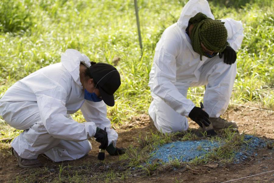 Crisis forense revictimiza a restos humanos de desaparecidos y familiares que los buscan