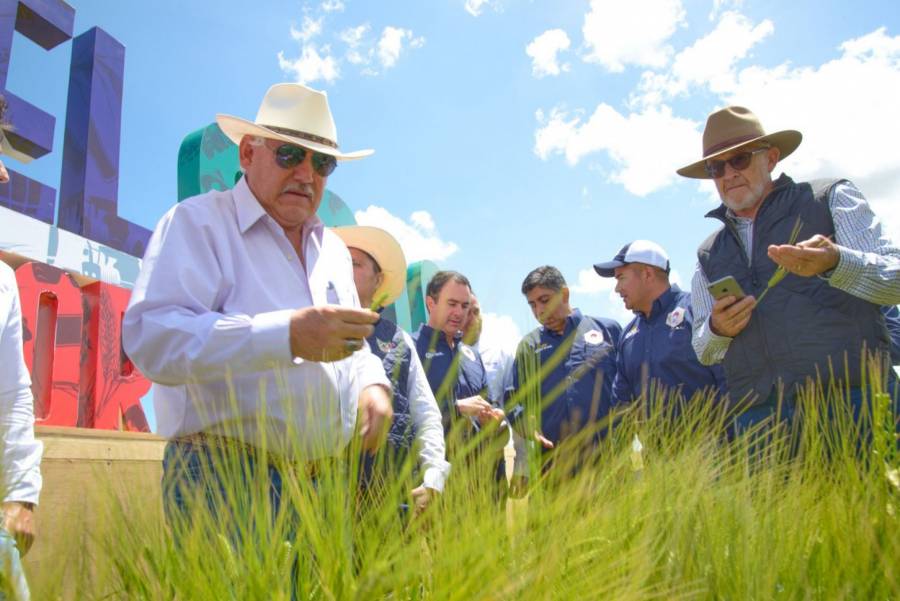 Cerveceros y productores acuerdan venta de cebada