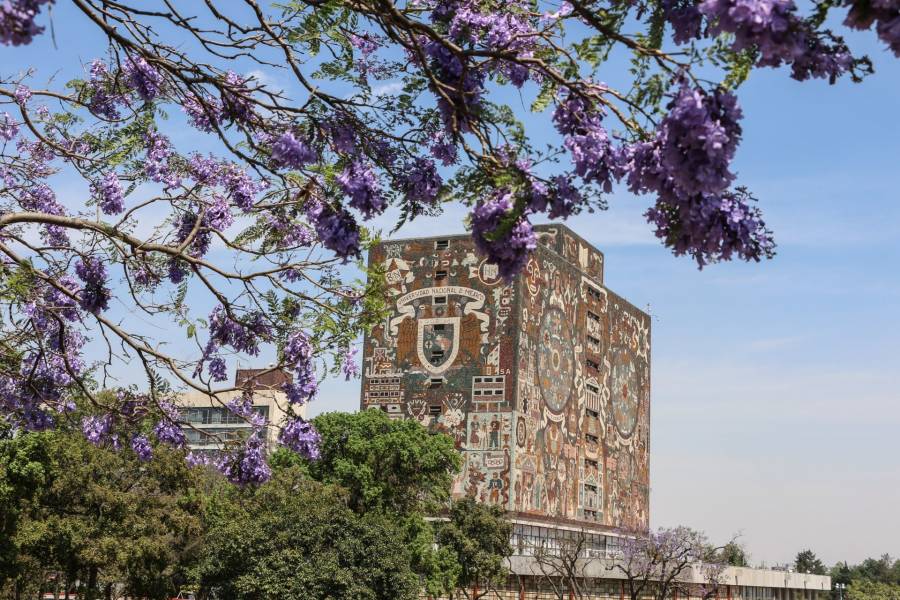 UNAM implementará educación híbrida en Escuela de Lenguas