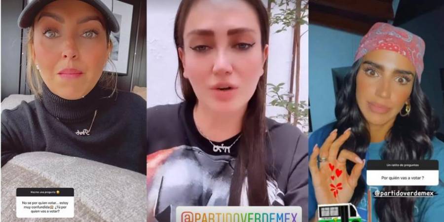 El INE ordena retirar la campaña de propaganda del PVEM a través de “influencers”