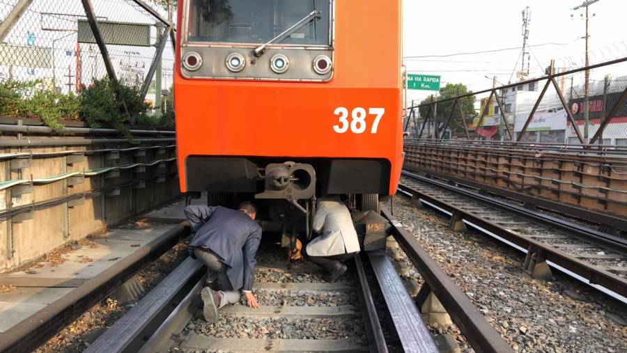 Reportan retrasos en Línea 8 del Metro por rescate de perro